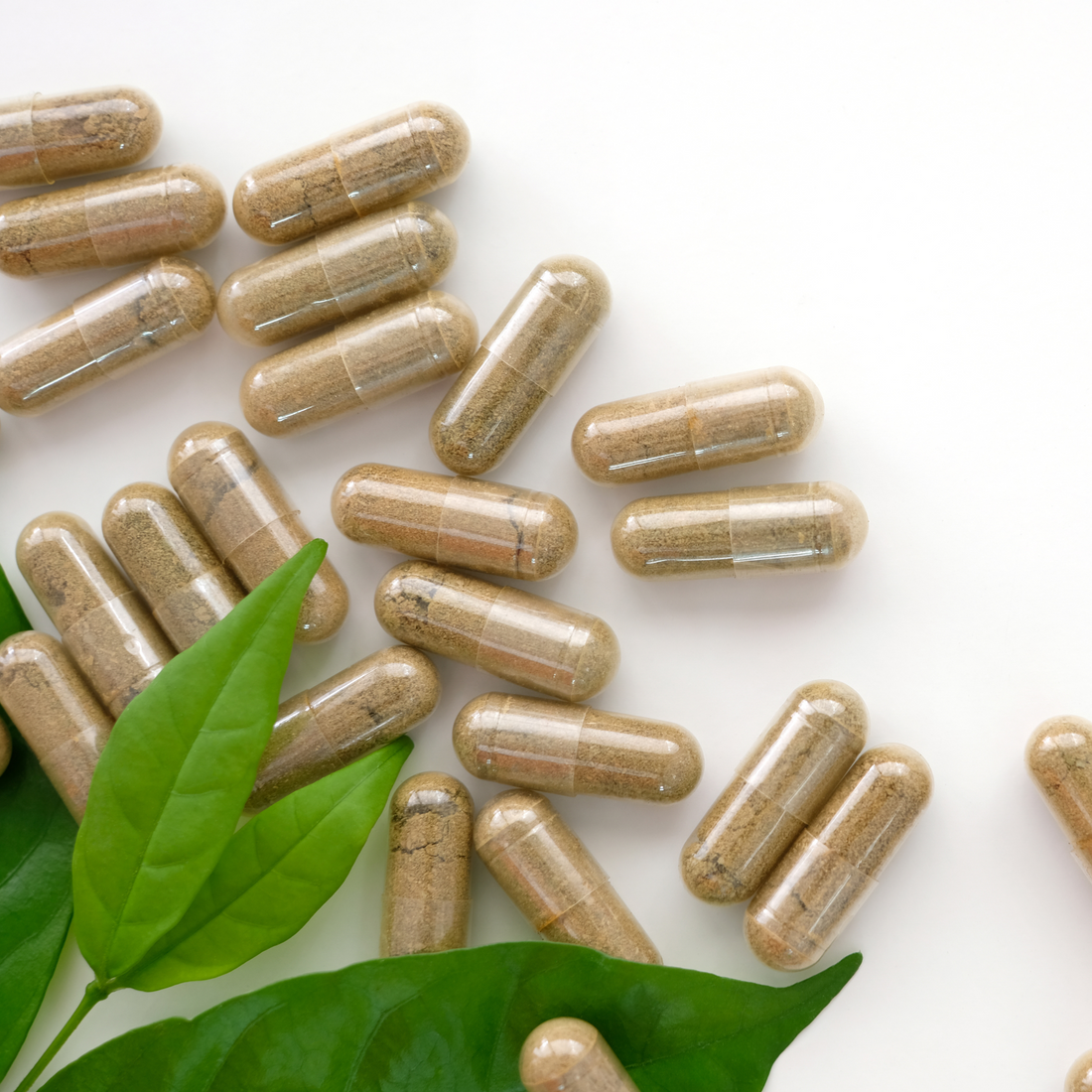 The Science of Detox: How to Support Your Body’s Natural Cleansing Process