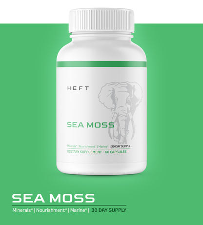 Detox Stack | Max Detox, Sea Moss, and Mushroom 10X